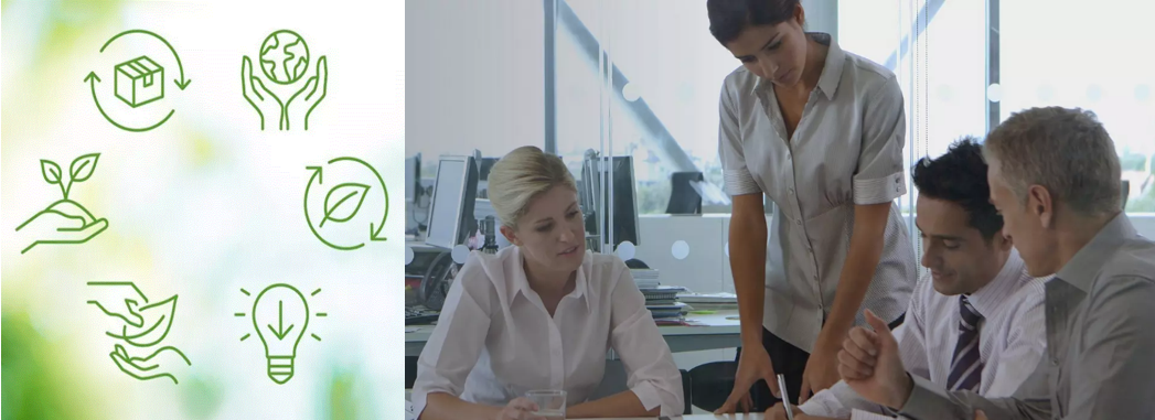 l'écologie de l'informatique