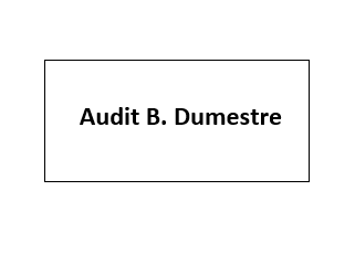 Audit B. Dumestre