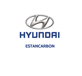 Hyundai Estancarbon